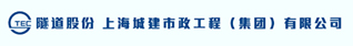 隧道股份上海城建市政工程（集团）有限公司