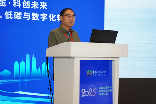 超长跨海通道发展现状与展望（杜彦良）