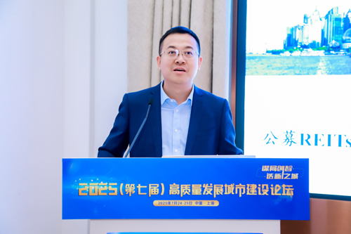 基础设施公募REITs的理论与实践——以城市领域更新为例（严学安）