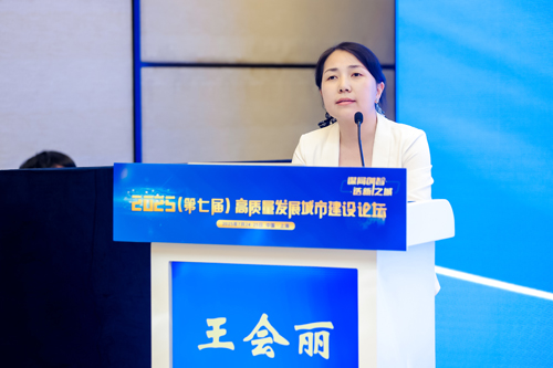 城市高架低影响快速更新技术研究（王会丽）